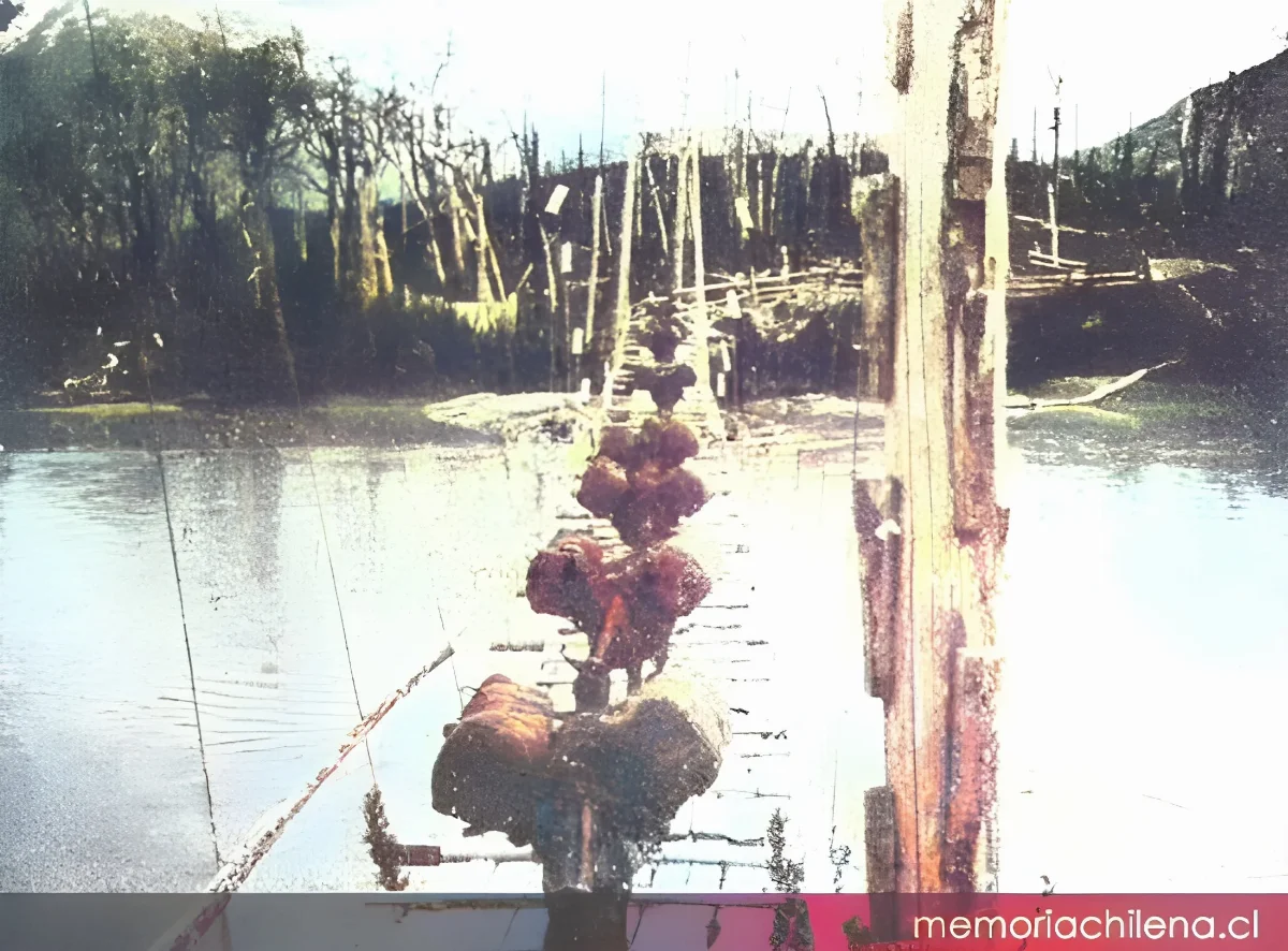 Acarreo de lana en puente sobre el río Ñadis, Aisén — 1928 | Chile de Ayer