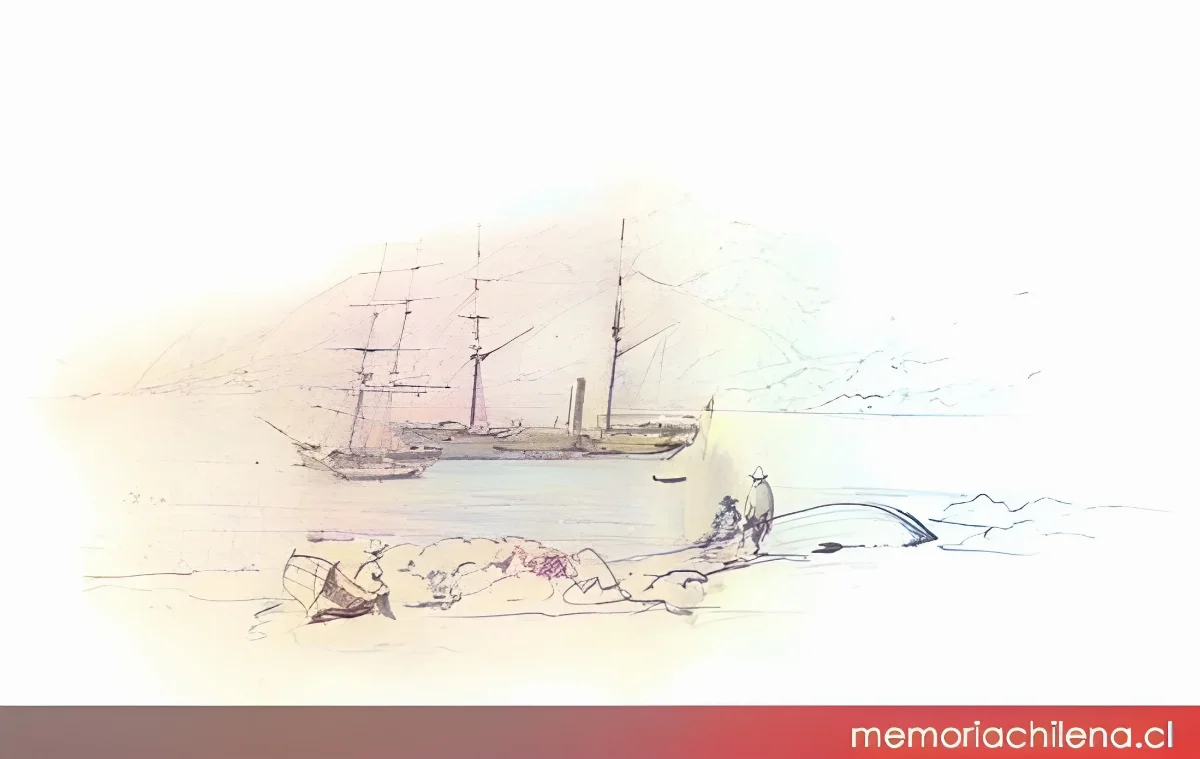 Barcos en el puerto de Cobija, hacia 1900 — 1900 | Chile de Ayer