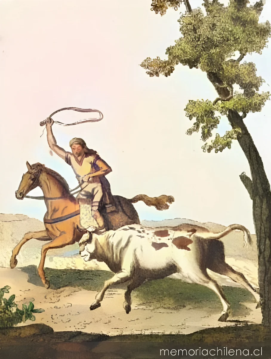Caza de toros salvajes en Chile, 1810 — 1810 | Chile de Ayer