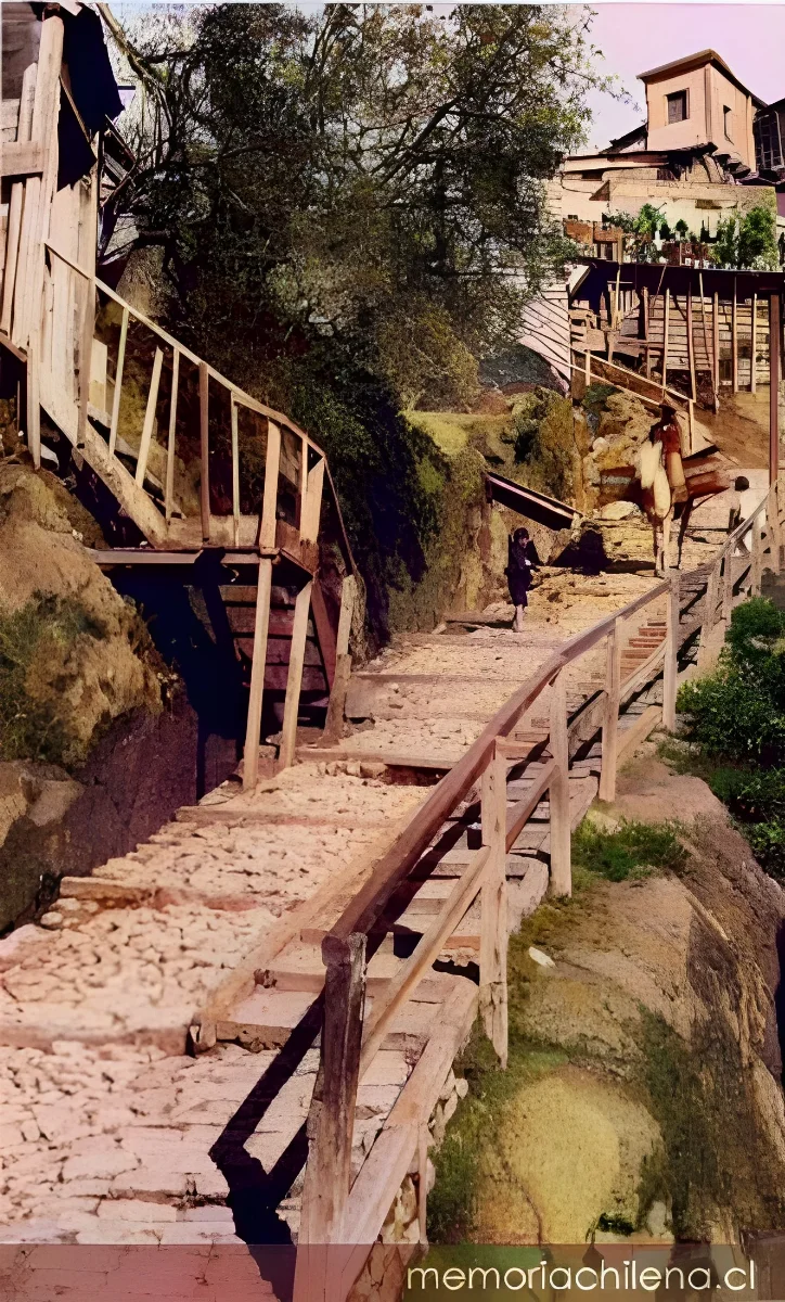Escalera en cerro Bellavista, 1900 — 1900 | Chile de Ayer
