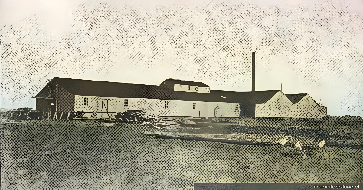 Galpón de esquila de la estancia Caleta Josefina, Magallanes, 1920 — 1920 | Chile de Ayer