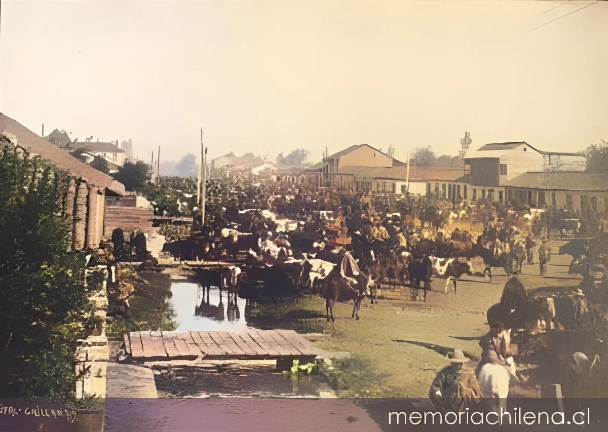Mercado Municipal de Chillán, 1906 — 1906 | Chile de Ayer