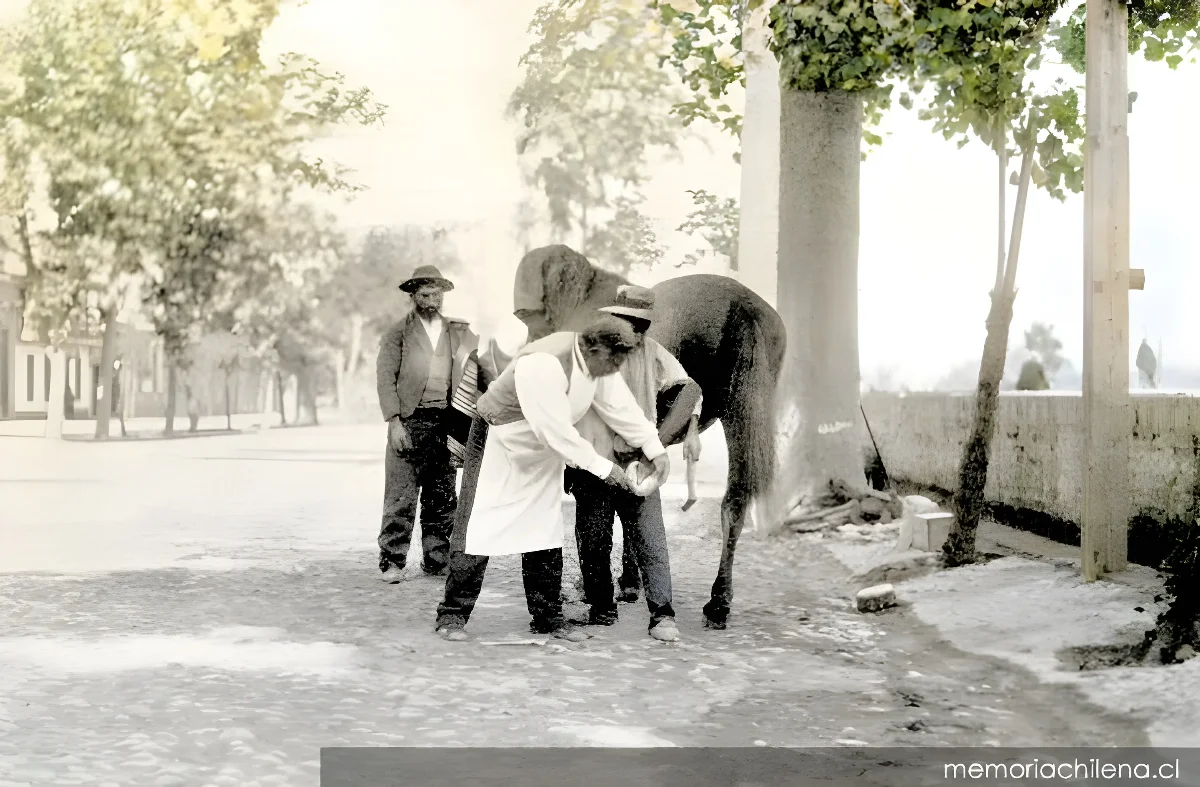 Herrador, hacia 1900 — 1900 | Chile de Ayer