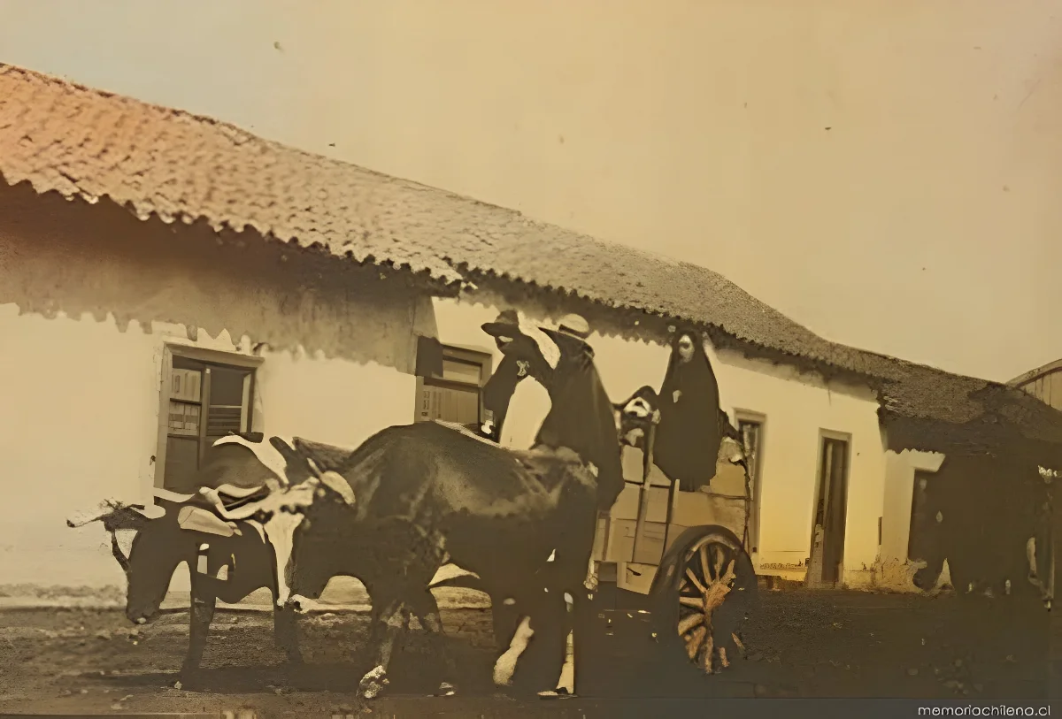 Carreta tirada por bueyes, 1906 — 1906 | Chile de Ayer