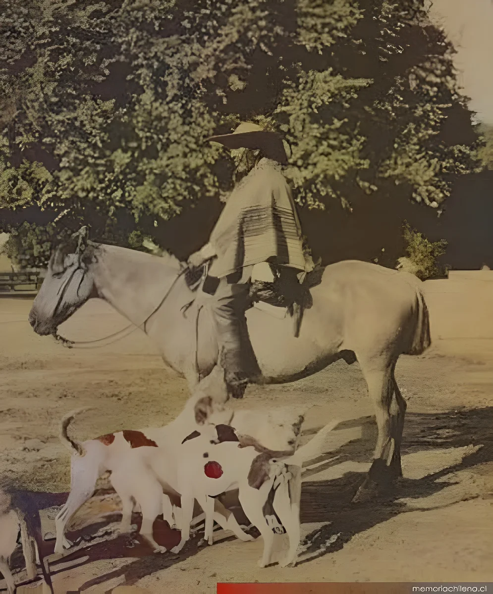 Hombre a caballo y sus perros, 1906 — 1906 | Chile de Ayer