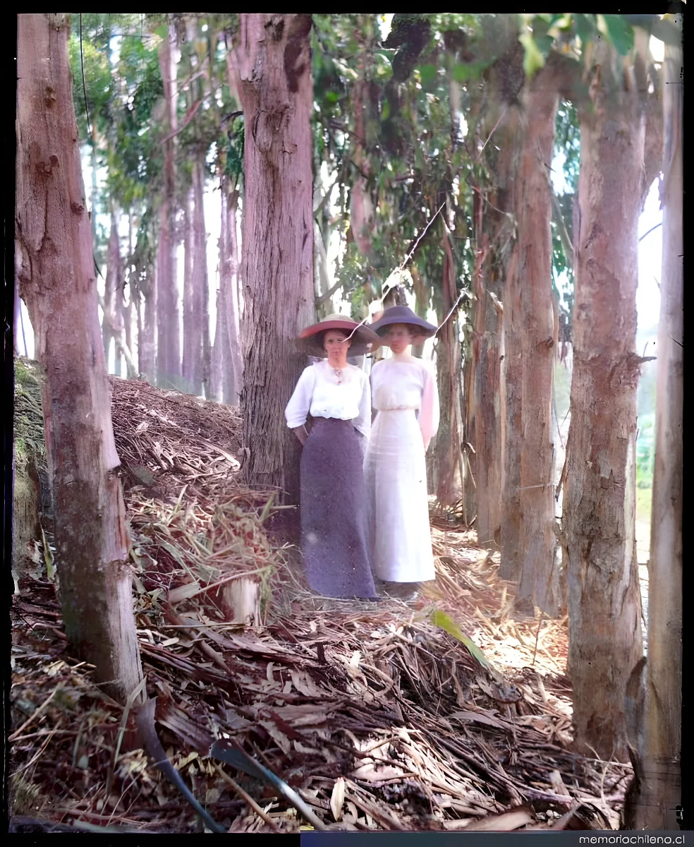 Mujeres en un bosque, hacia 1900 — 1900 | Chile de Ayer