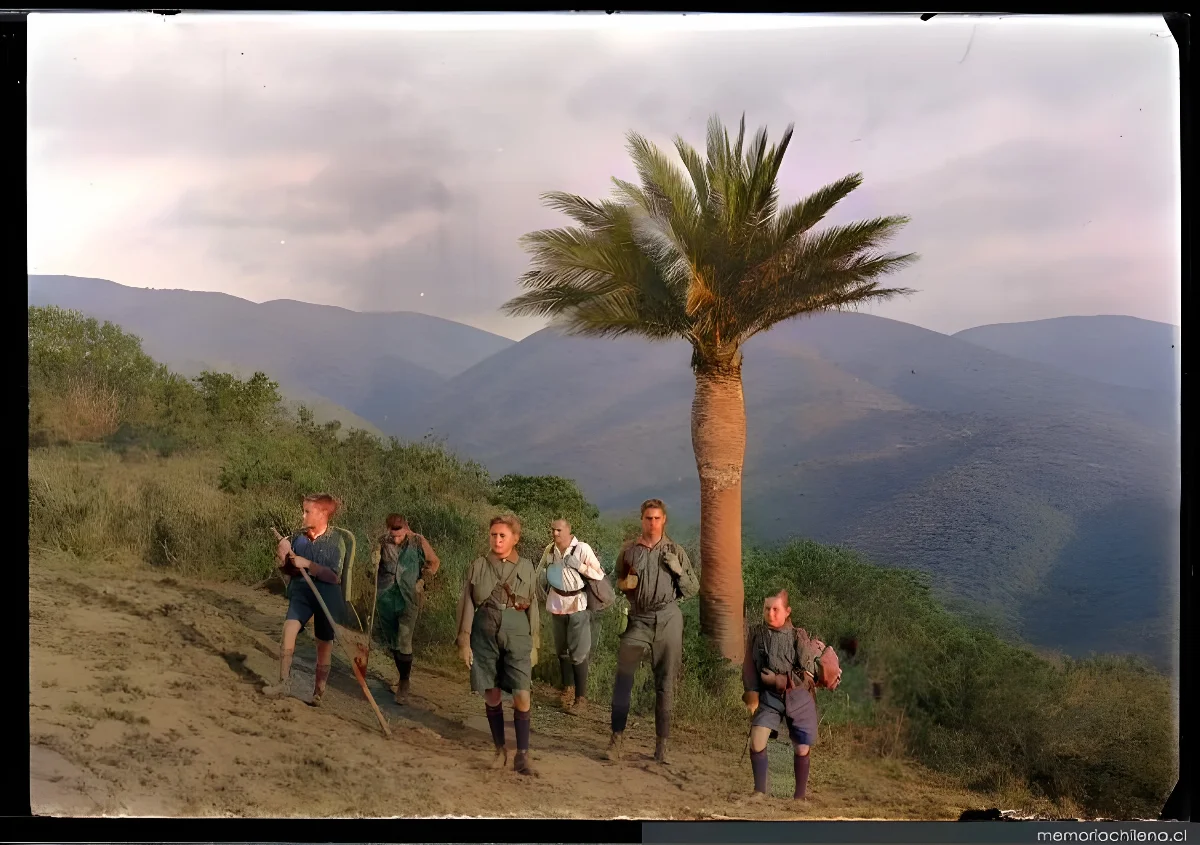 Grupo de scouts junto a palma, hacia 1900 — 1900 | Chile de Ayer