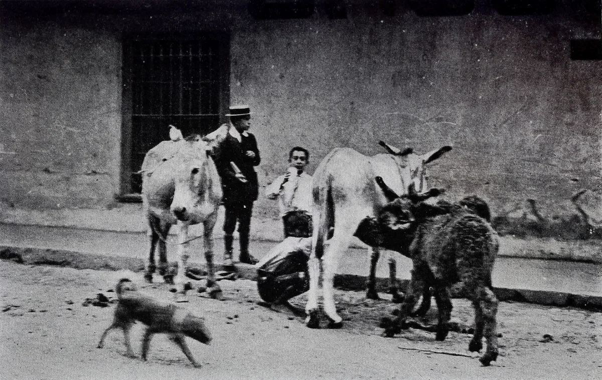 Vendedor de leche de burra, Valparaíso, 1912 — aprox. 1912 | Chile de Ayer