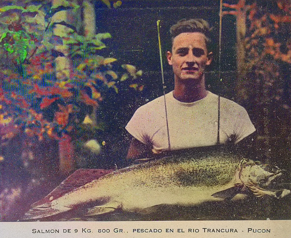 Pesca de salmón en el Río Trancura, Pucón, 1942 — 1942 | Chile de Ayer