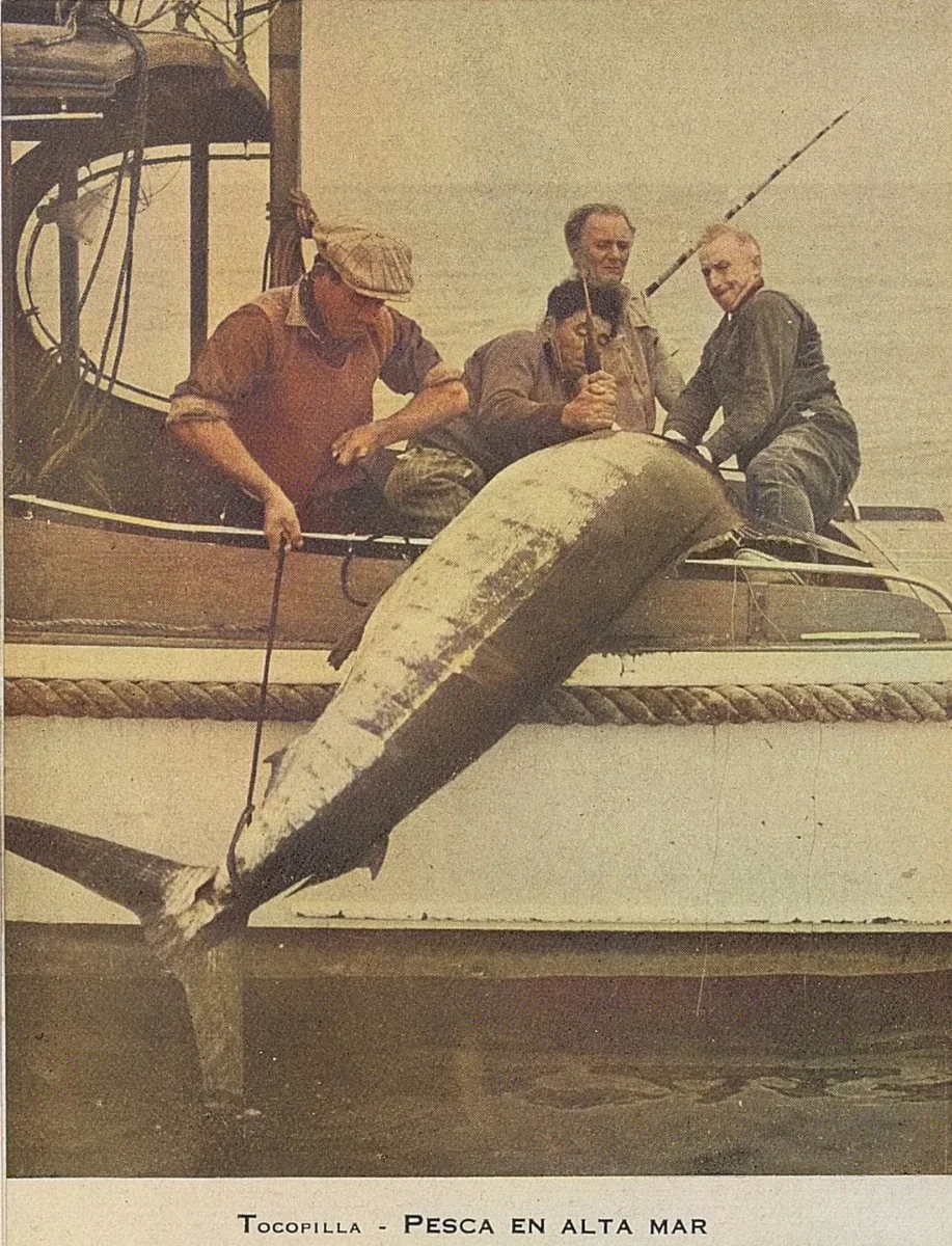 Pesca en alta mar en Tocopilla, 1943 — 1943 | Chile de Ayer