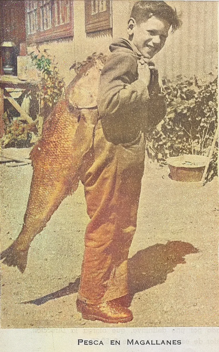Pesca en Magallanes, 1945 — 1945 | Chile de Ayer