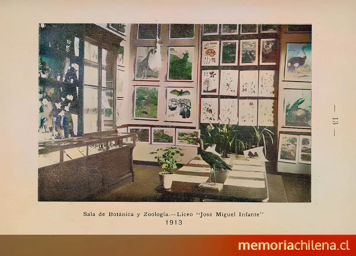 Sala de botánica y zoología del Liceo de señoritas " — 1913 | Chile de Ayer
