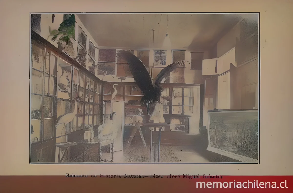 Gabinete de Historia Natural del Liceo de Señoritas " — 1926 | Chile de Ayer