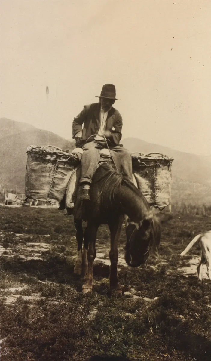 Comerciante — Década de 1930 | Chile de Ayer