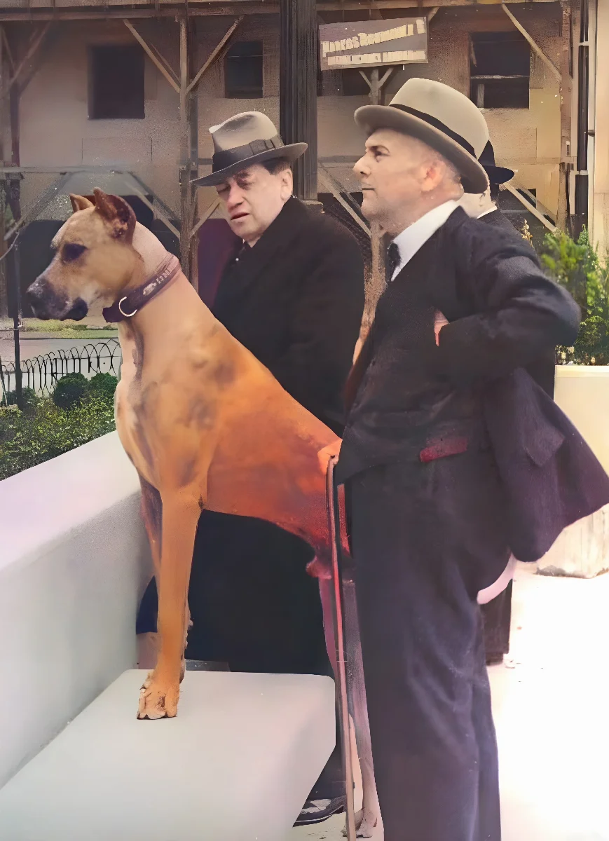 Arturo Alessandri Palma, Presidente de Chile — aprox. 1930 | Chile de Ayer