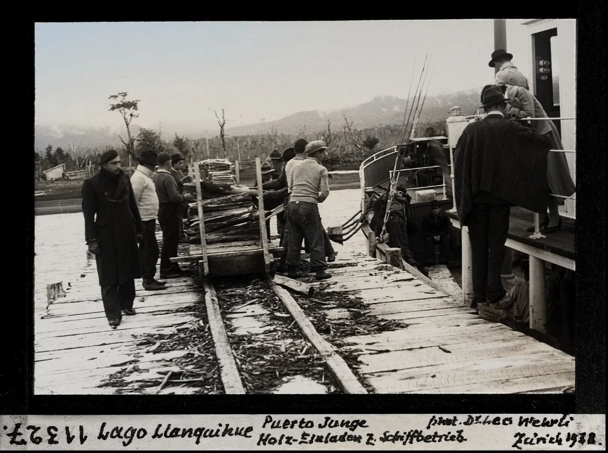Lago Llanquihué, Puerto Junge, carga de madera para el transporte naviero — aprox. 1938 | Chile de Ayer