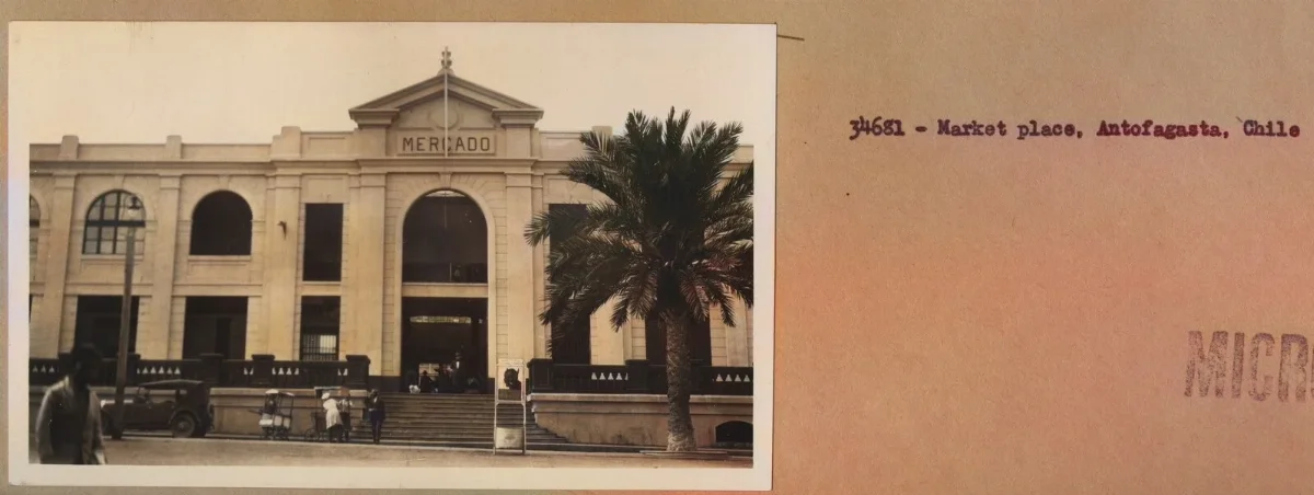 Mercado Municipal de Antofagasta (ficha de archivo) — Década de 1940 | Chile de Ayer