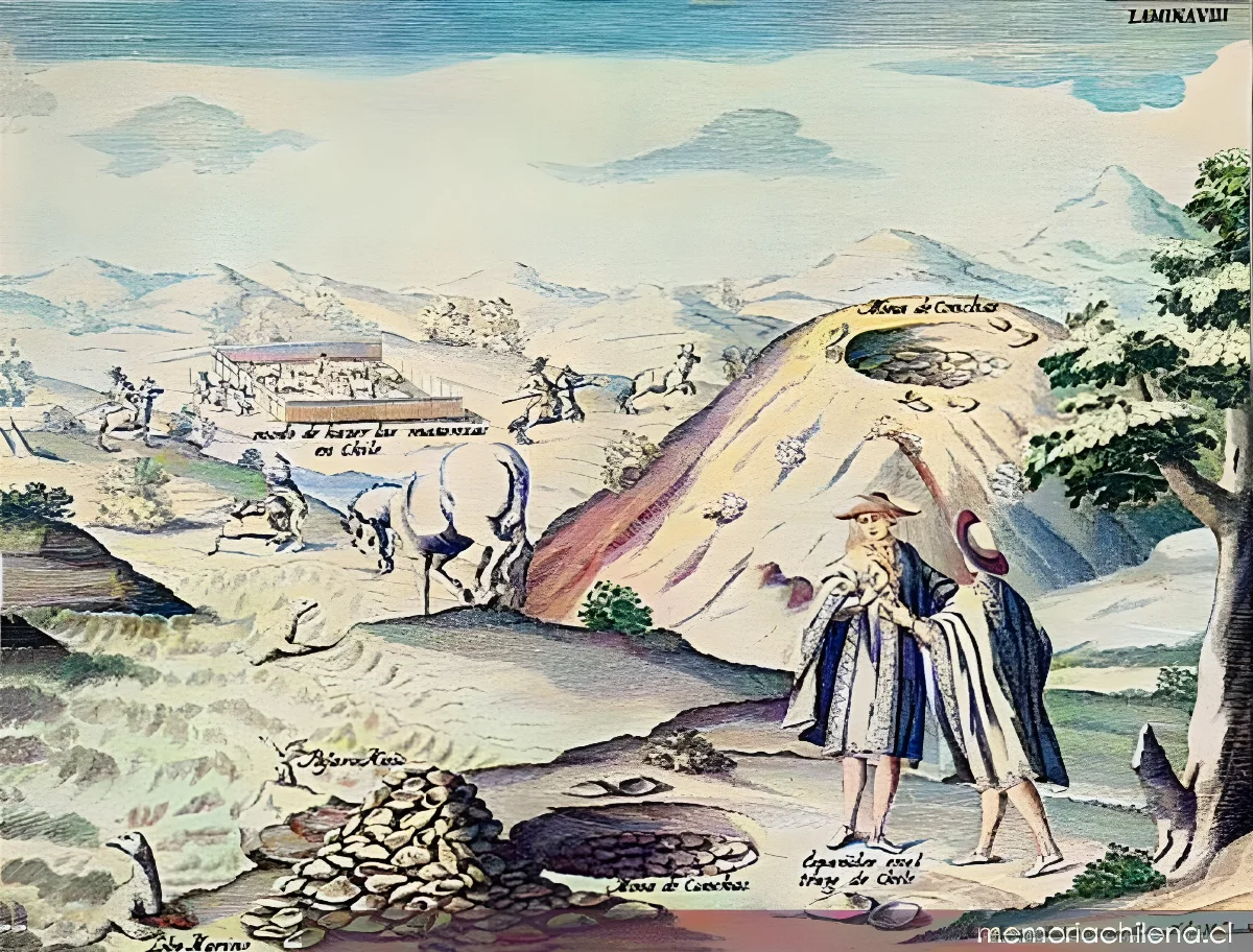 Modo de hacer las matanzas en Chile, 1748 — 1748 | Chile de Ayer