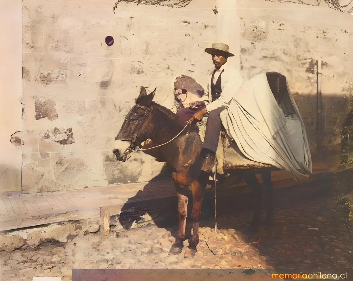 Vendedor de pan, hacia 1900 — 1900 | Chile de Ayer