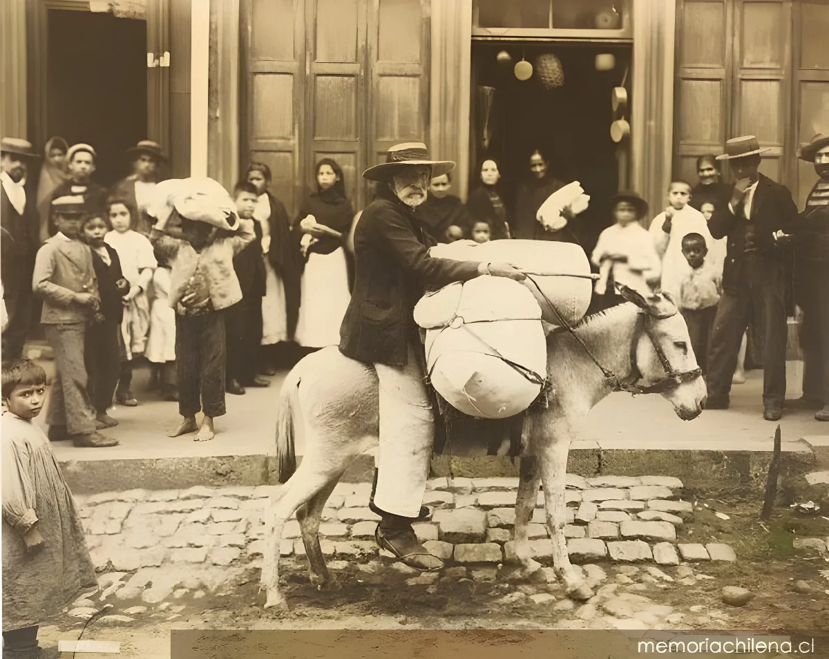 Burrero en Valparaíso, 1900 — 1900 | Chile de Ayer