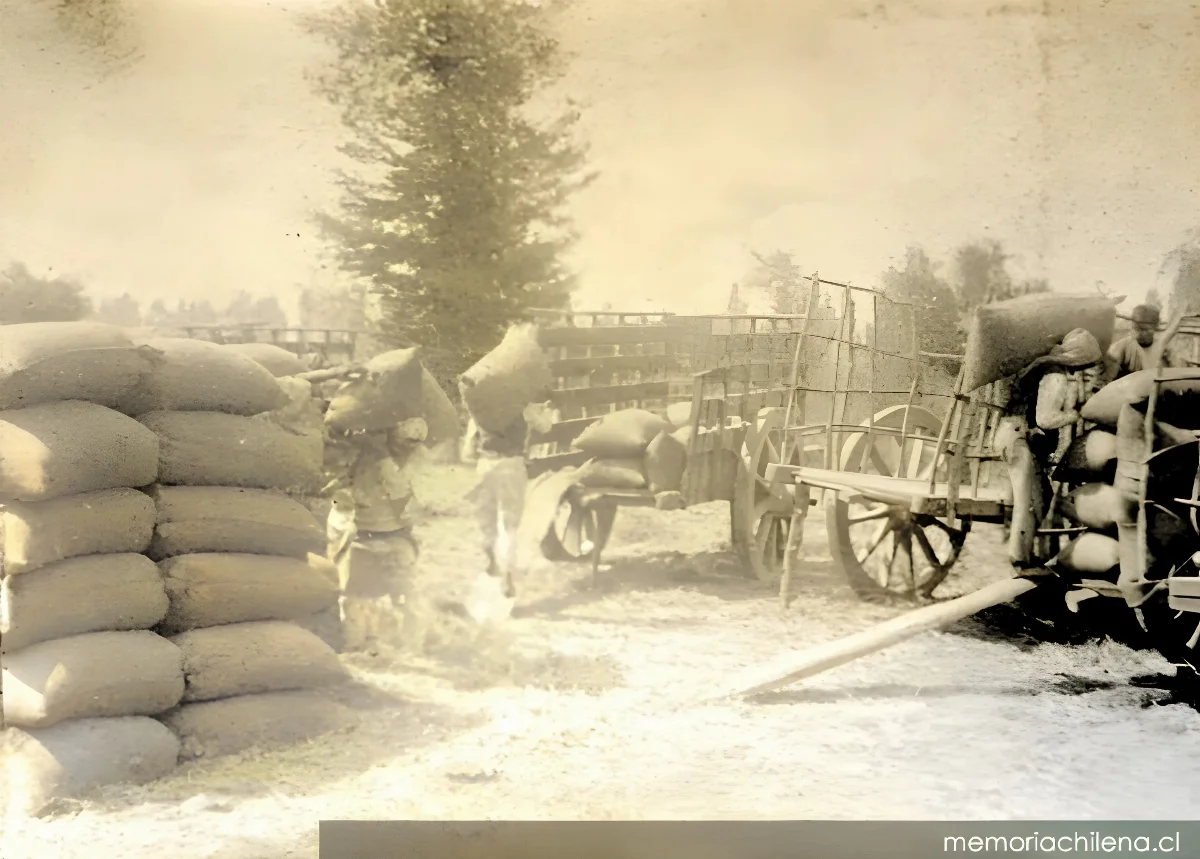 Carga de sacos de trigo, hacia 1930 — 1930 | Chile de Ayer