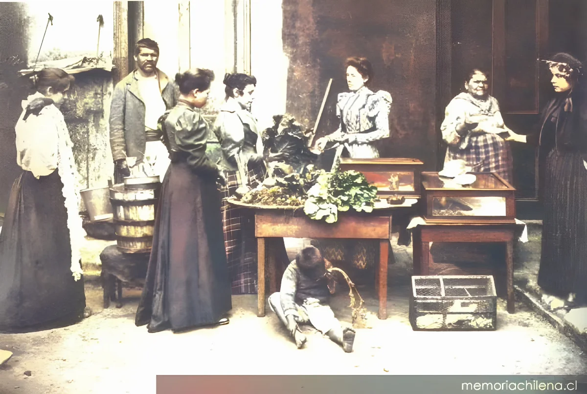 Venta de verduras en el Mercado Central, hacia 1900 — 1900 | Chile de Ayer