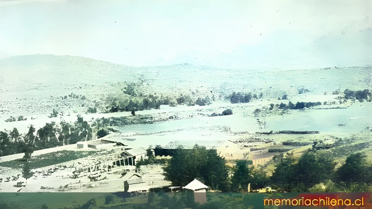 Sección La Colonia de la Sociedad Estancias, Posadas, Hobbs &amp — 1928 | Chile de Ayer