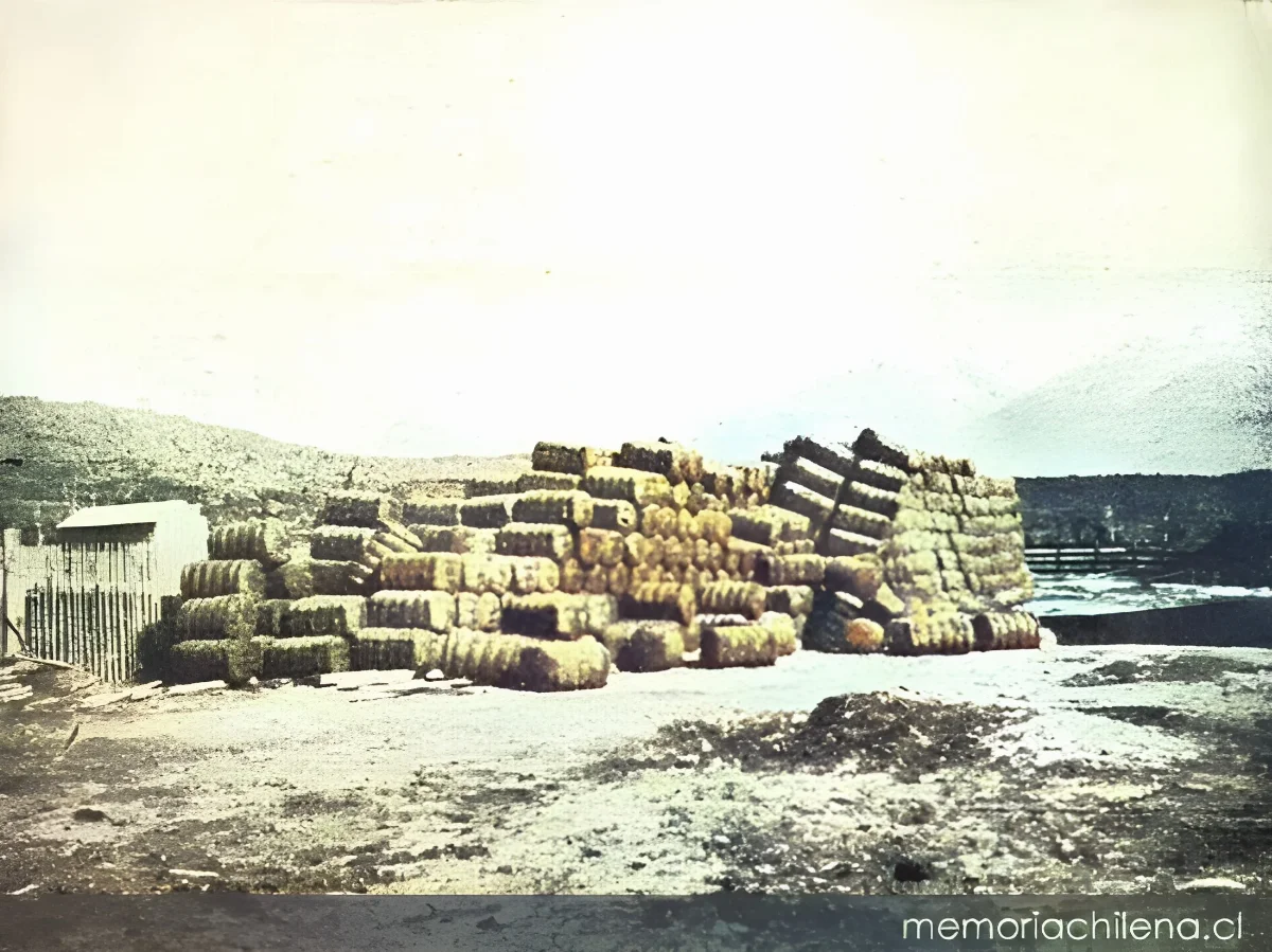 Cargamento de lana esperando su transporte río abajo para ser exportado, valle del Río Baker — 1928 | Chile de Ayer