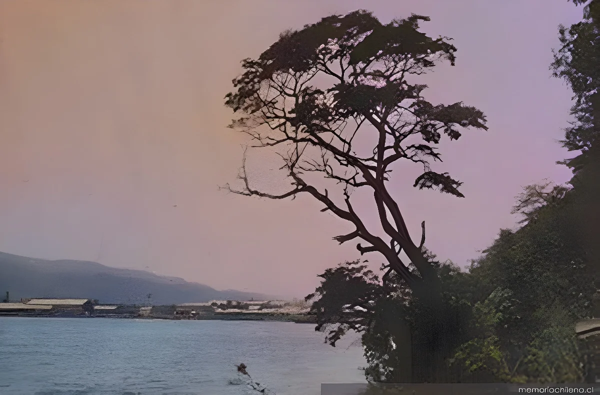 Vista a un lago, 1906 — 1906 | Chile de Ayer