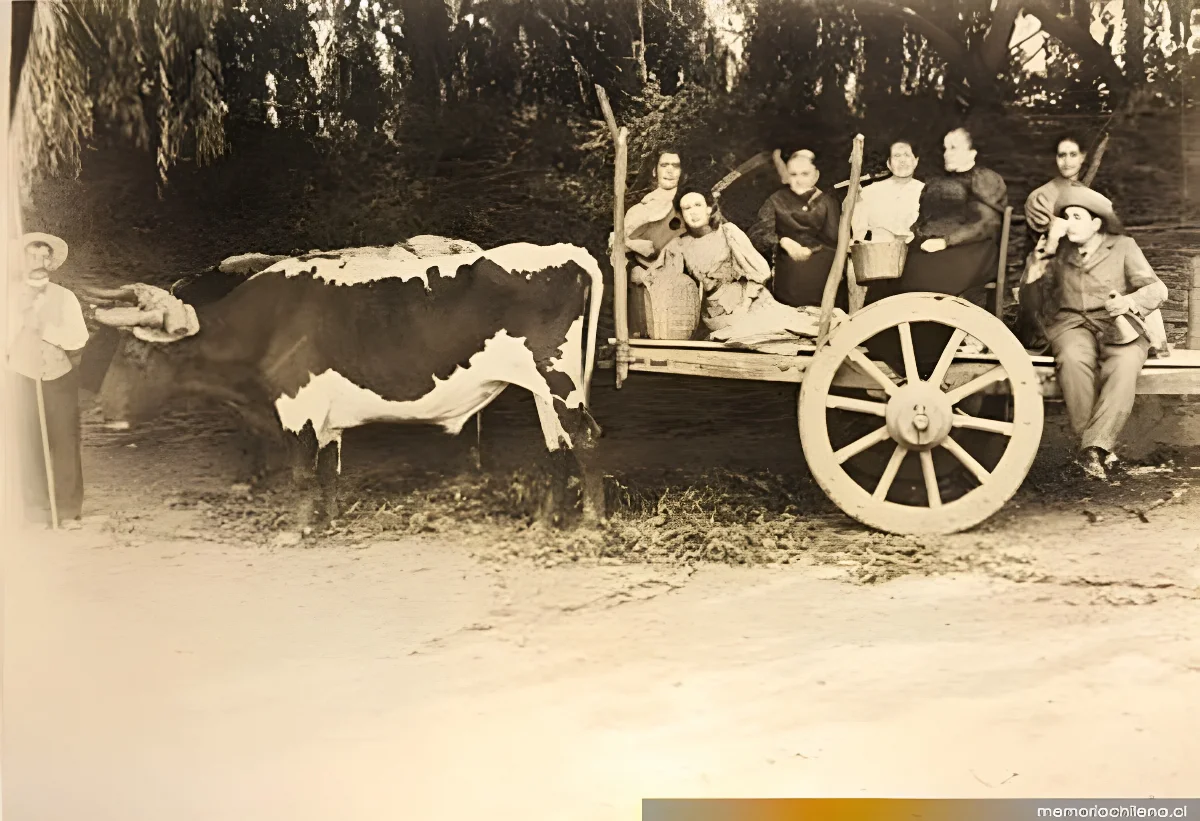 Retrato de grupo, 1905 — 1905 | Chile de Ayer