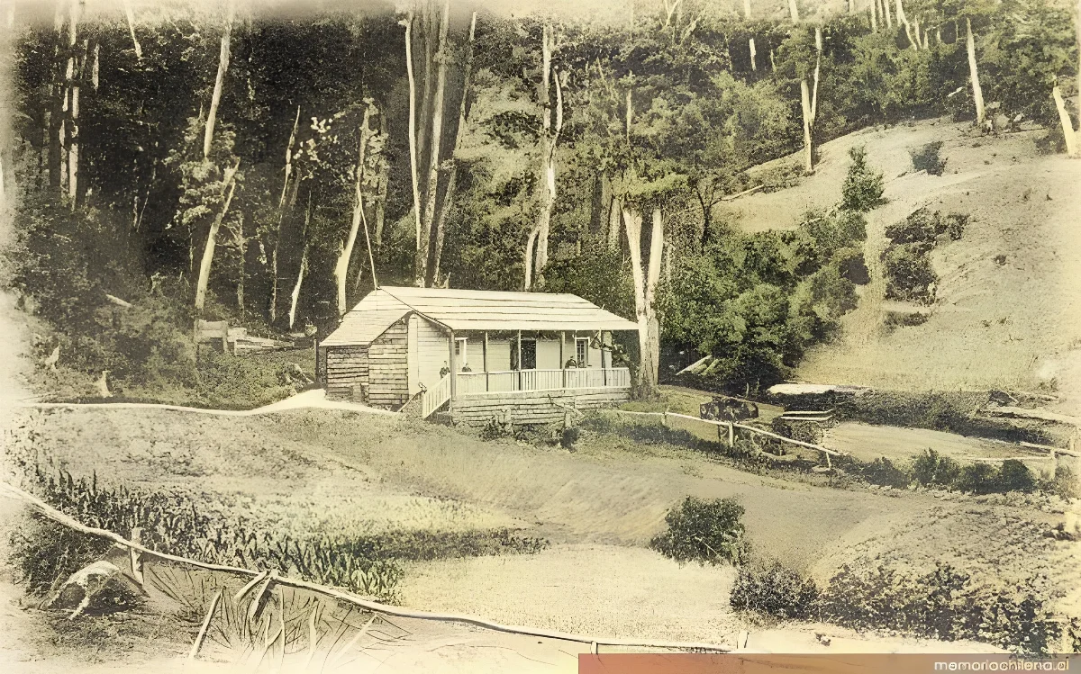 Restaurante en merdio de la Montaña virgen, Temuco, 1905 — 1905 | Chile de Ayer