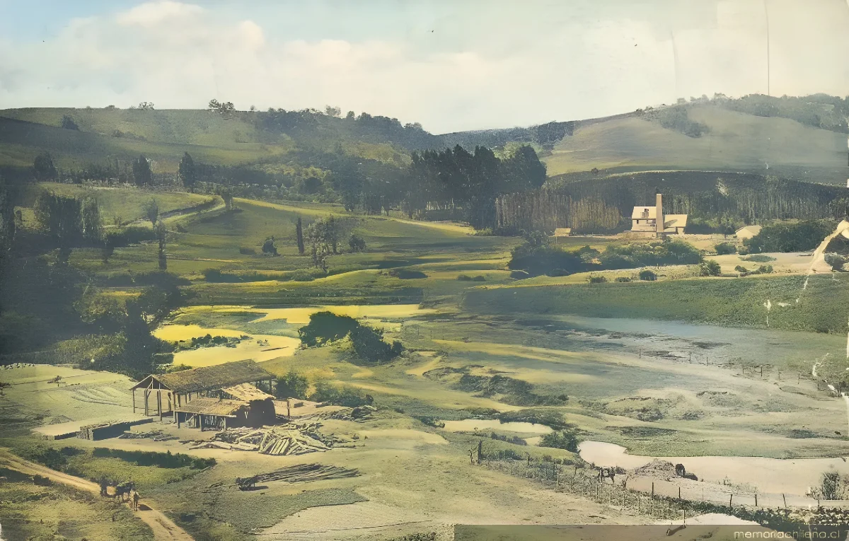 Traiguén y alrededores, 1919 — 1919 | Chile de Ayer