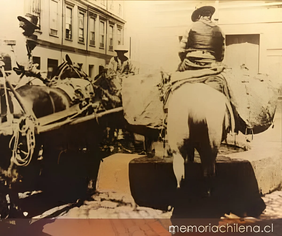 Caballos abrevando, 1906 — 1906 | Chile de Ayer