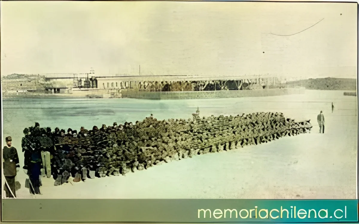 Ejercicios del Batallón Cívico de Artillería Naval en Antofagasta, hacia 1880 — 1880 | Chile de Ayer
