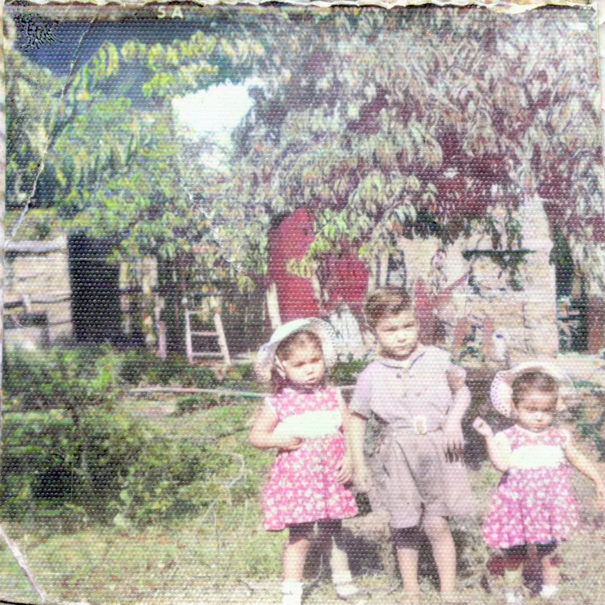 Niños Familia Fernandez Valdés — Pocuro — 1952 | Chile de Ayer