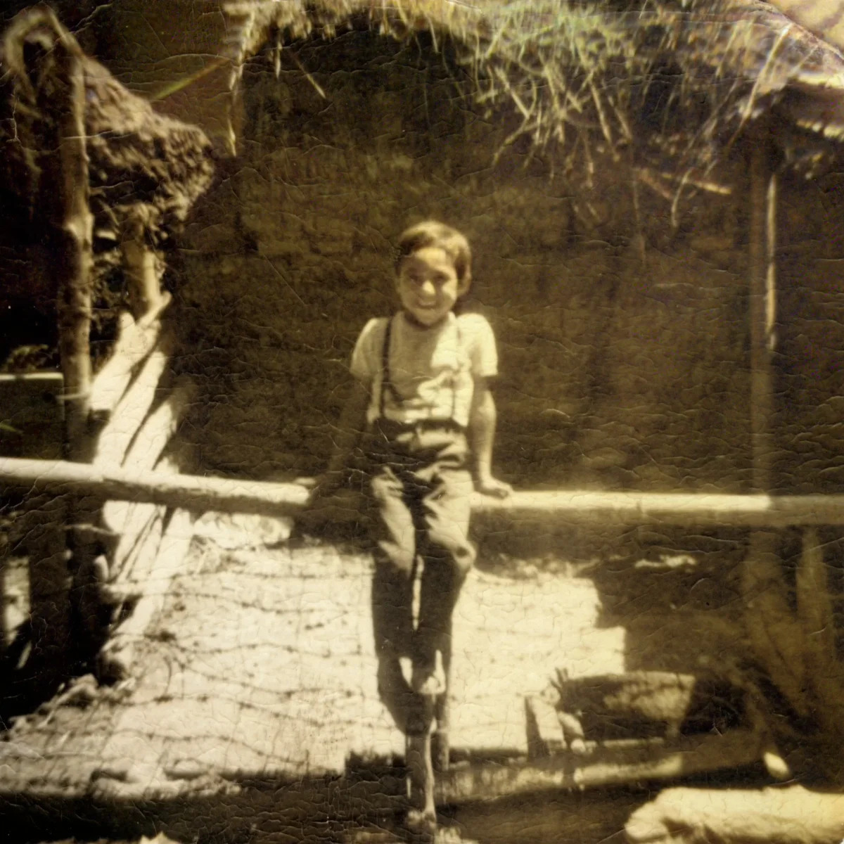 Niño sentado en el corral de animales — Pocuro — 1970 | Chile de Ayer
