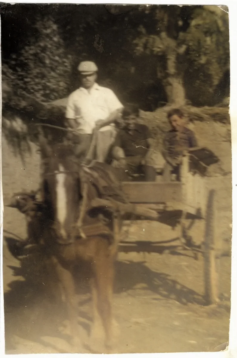 Padre y sus hijos en Caretilla — Pocuro — 1975 | Chile de Ayer