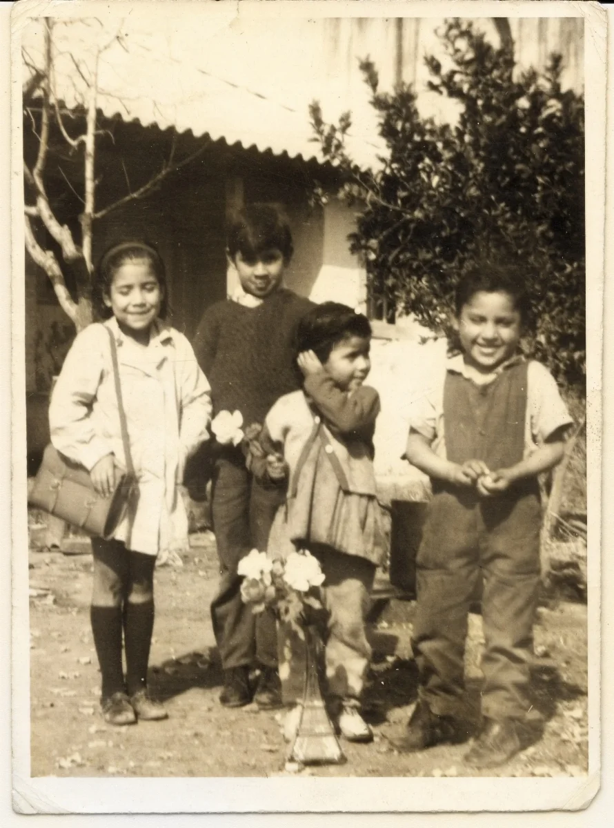Niños Familia Muñoz Salinas — Calle Larga — 1972 | Chile de Ayer