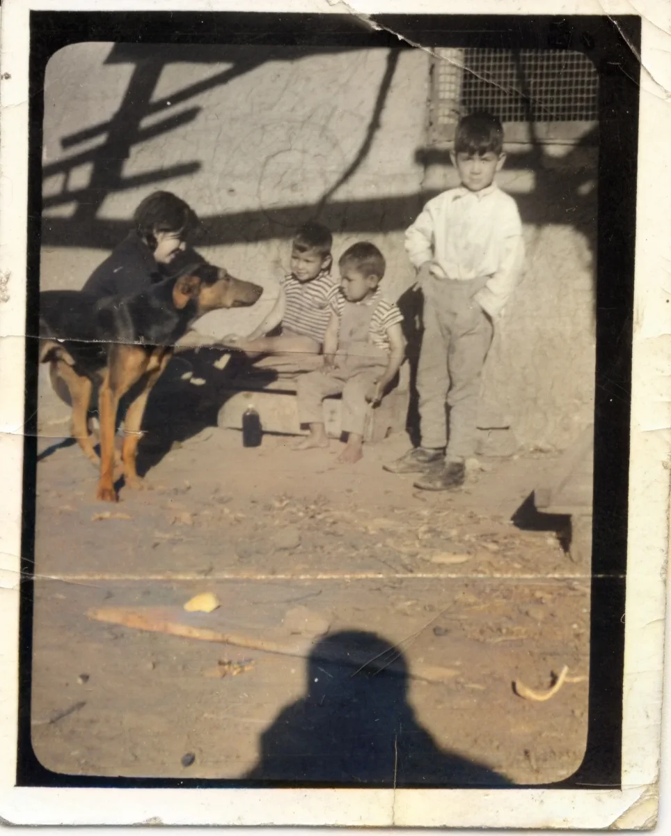 Niños con animales en patio de Calle Larga — Calle Larga — 1968 | Chile de Ayer