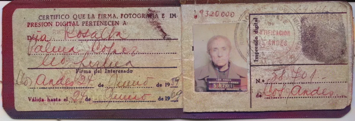 Cedula de Identidad Rosa Palma — Calle Larga — 1959 | Chile de Ayer
