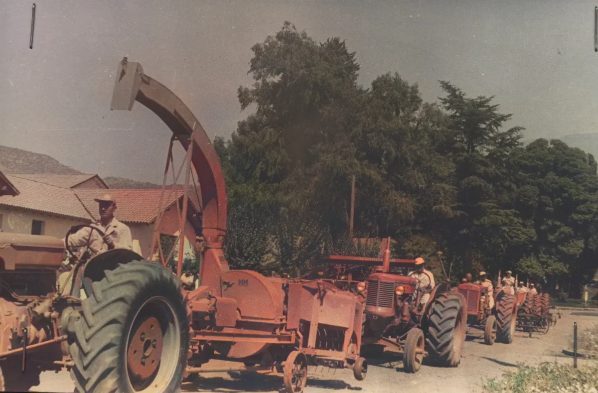 Desfile de tractores y maquinaria agrícola con operarios en movimiento — Calle Larga — 1954 | Chile de Ayer