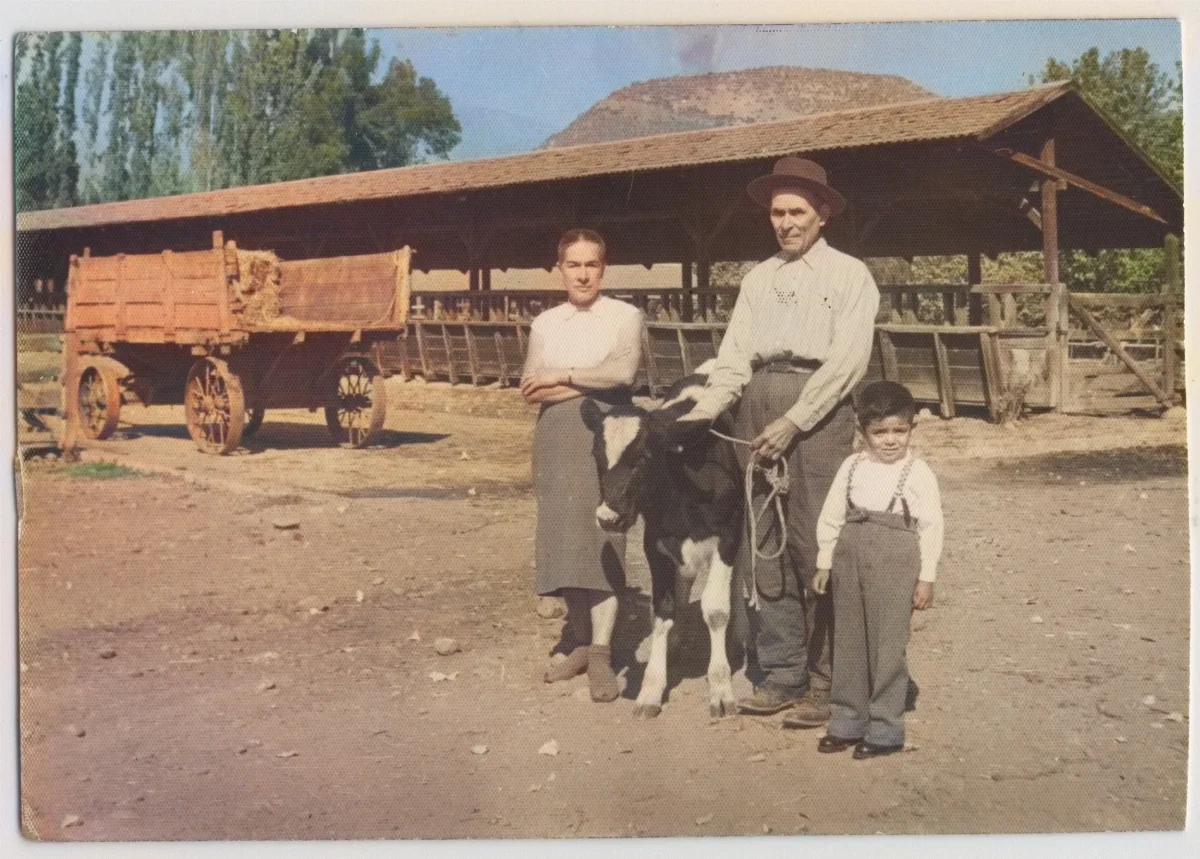 Habitantes de la Hacienda San Vicente en criadero de animales — Calle Larga — 1959 | Chile de Ayer