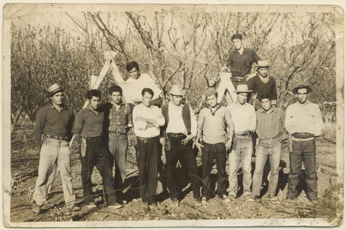 Cuadrilla de trabajadores agricolas — Calle Larga — 1965 | Chile de Ayer
