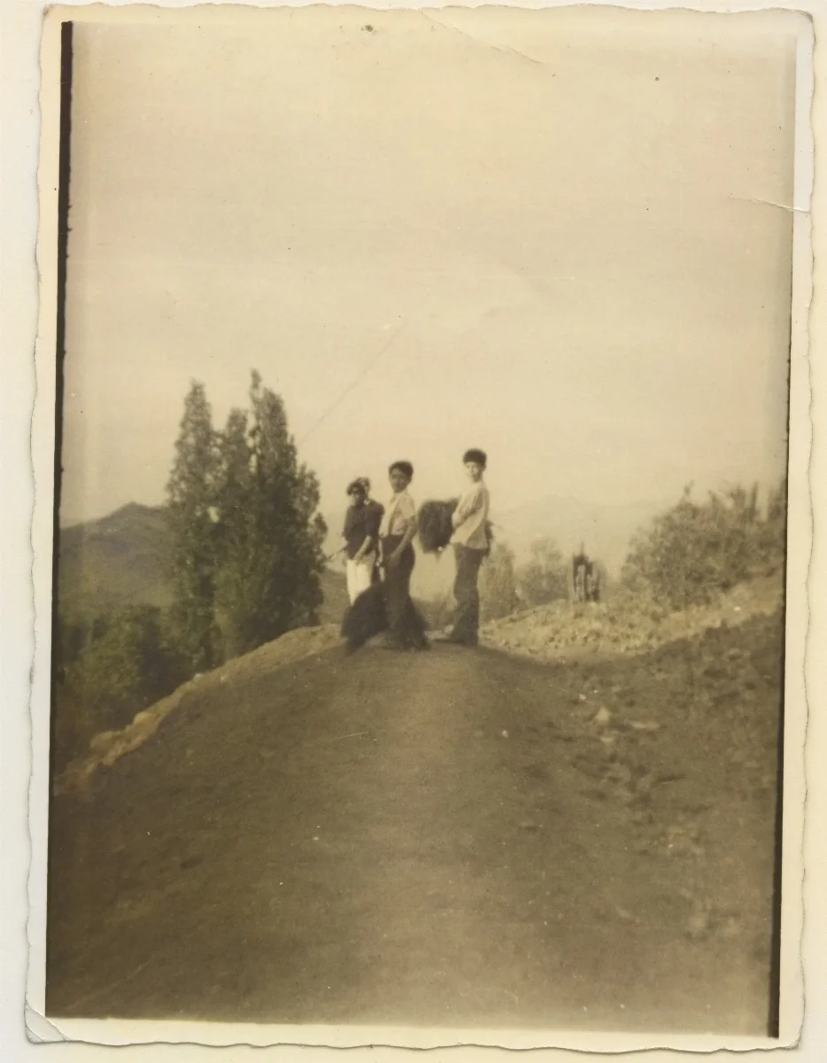 Niños recolectando pasto para sus conejos — Pocuro — 1967 | Chile de Ayer