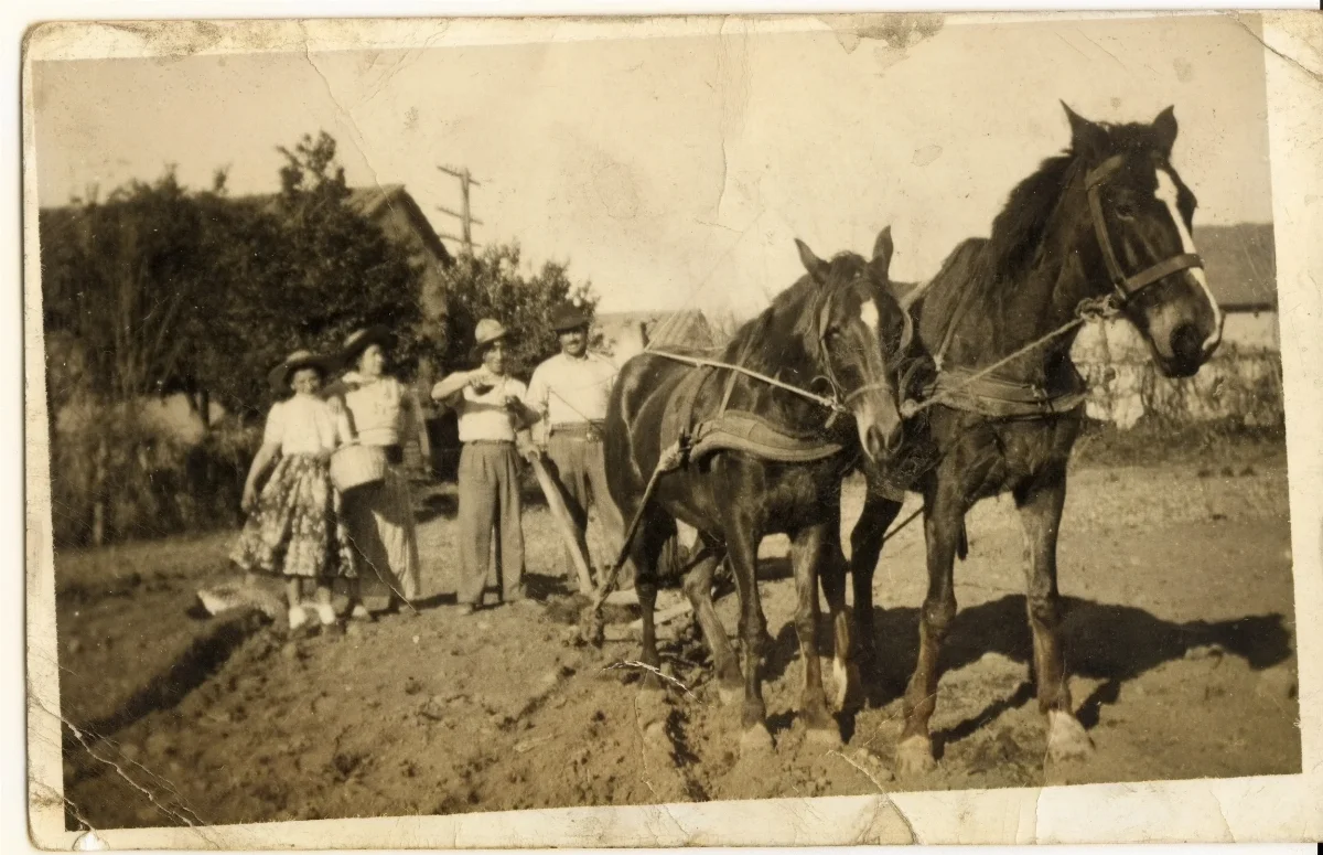 El Arado — Calle Larga — 1930 | Chile de Ayer
