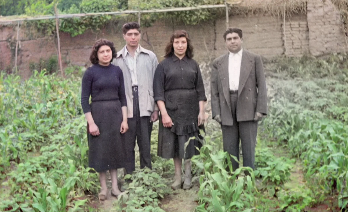 Familia en huerto de maíz, Pocuro — Pocuro — aprox. 1960 | Chile de Ayer
