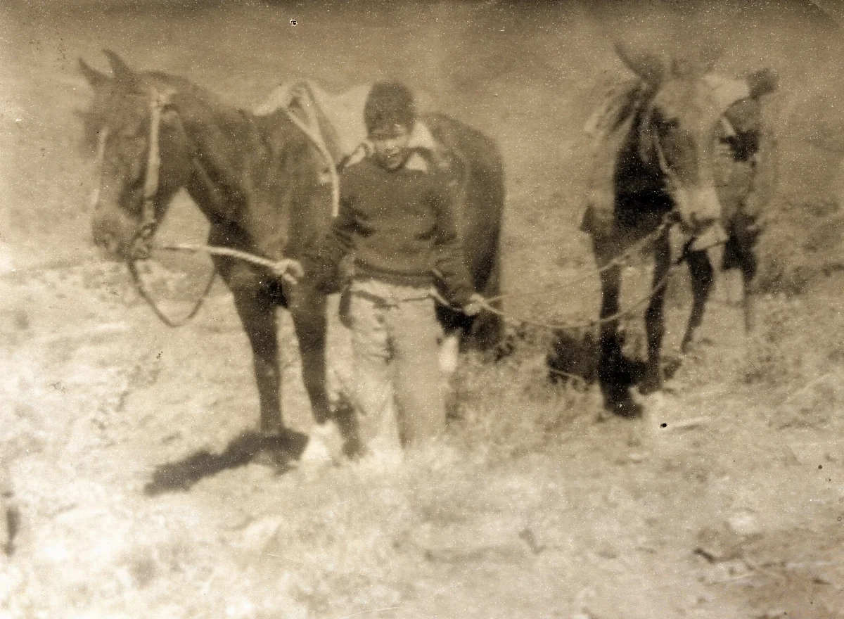 Niño cuidando dos caballos — Calle Larga — 1961 | Chile de Ayer