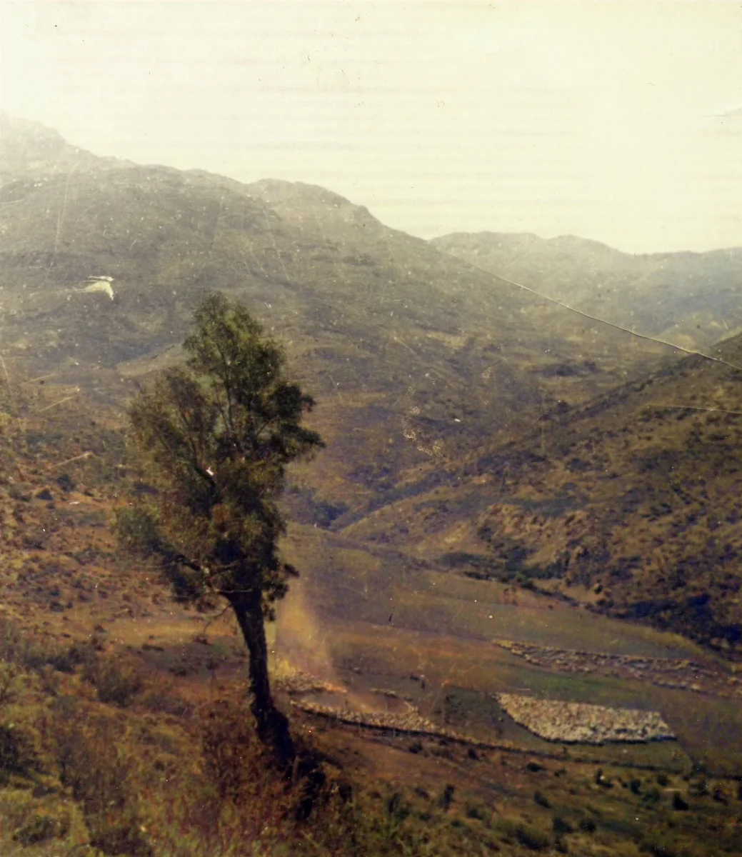 Vista al cerro — Calle Larga — 1940 | Chile de Ayer