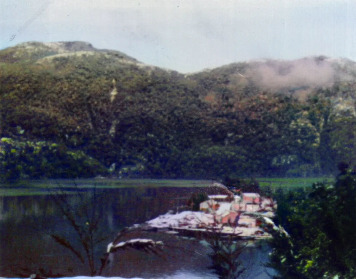paisaje de tortel en invierno — Caleta Tortel — 1975 | Chile de Ayer