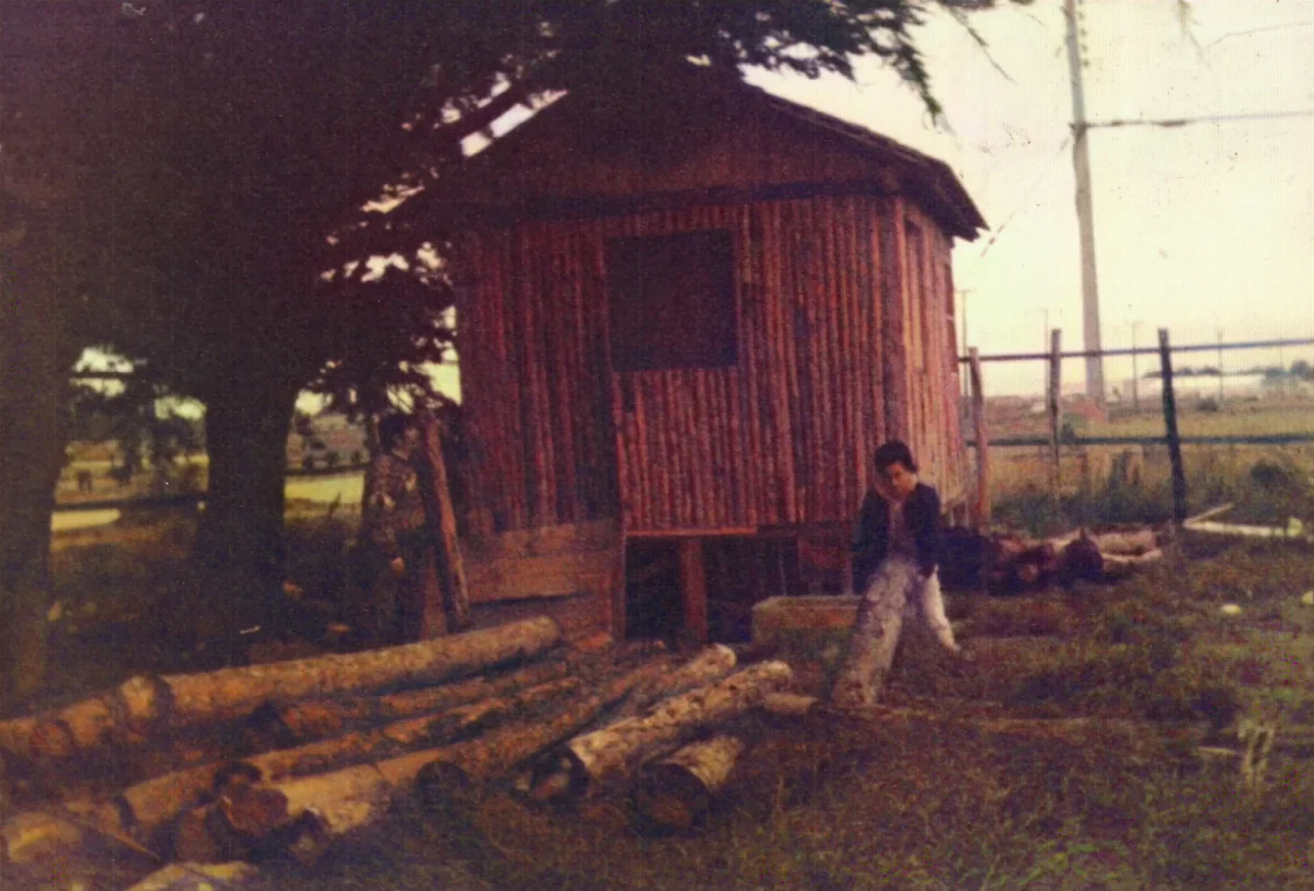 acopiando madera en sitio de ASOGREMA — Punta Arenas — 1990 | Chile de Ayer